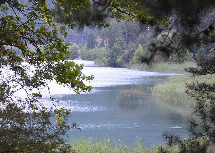 Xenonas Alexiou 住宿加早餐酒店 3*