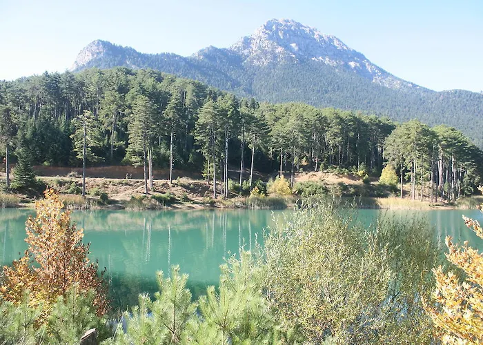 Xenonas Alexiou 3* Archaia Feneos