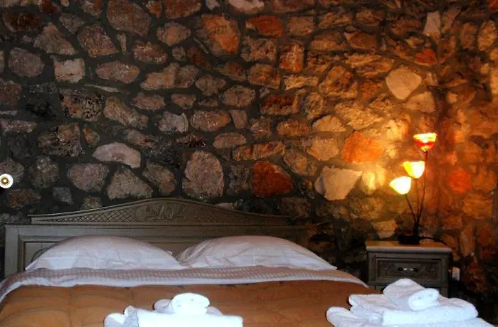 住宿加早餐酒店 Xenonas Alexiou 3*