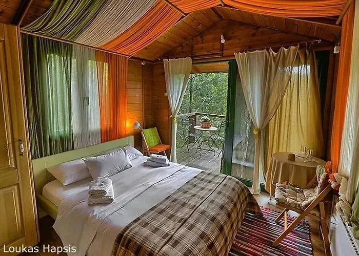 住宿加早餐酒店 Xenonas Alexiou 3*